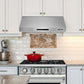 KOSTCH 30 in. 1000 CFM Convertible Wall Mount Range Hood with LED Lights in Stainless Steel (KOS-30RH06H)
