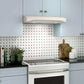 Broan-NuTone Broan Elite Alta I Series 30 In. Convertible Under-Cabinet Range Hood In White (ALT130WW)