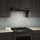 Broan Elite Alta II Series 30 in. Convertible Under Cabinet Range Hood with Color Options (ALT230)