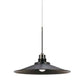 Cal Lighting Dimmable Metal and Glass Industrial-Style LED Pendant Light