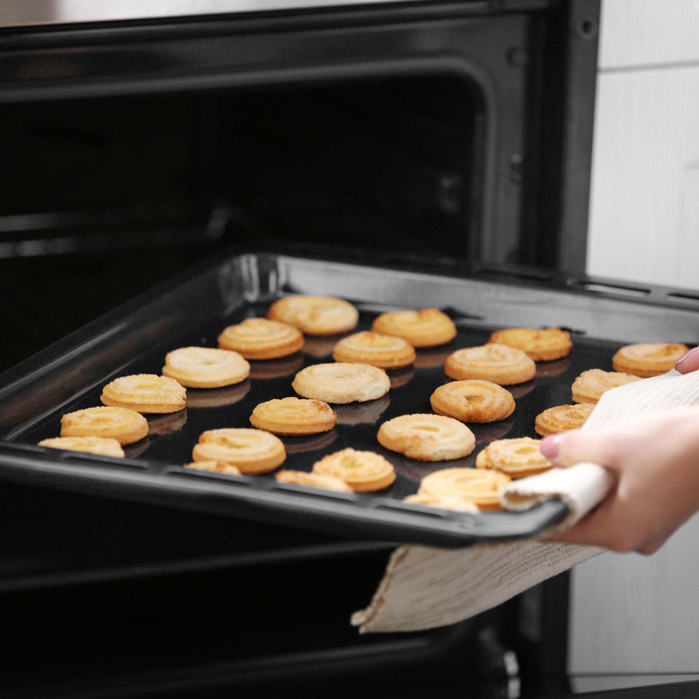 Empava 24 in. 2.3 cu. ft. Liquid Propane Gas Wall Oven in Stainless Steel (24WO10L) 