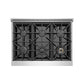 Empava 36 In. Pro-Style Freestanding Gas on Gas Range in Stainless Steel (36GR08) 