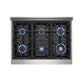 Empava 36 In. Pro-Style Freestanding Gas on Gas Range in Stainless Steel (36GR08) 