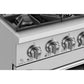Empava 36 In. Pro-Style Freestanding Gas on Gas Range in Stainless Steel (36GR08) 