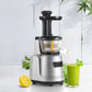 Empava Cold Press Slow Juicer in stainless Steel (BLDR02) 