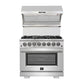 Forno Capriasca - 36 in. 5.36 cu. ft. Titanium Professional Freestanding Dual Fuel Range in Stainless Steel (FFSGS6187-36)-
