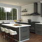 ZLINE Gemini Kitchen Faucet in Brushed Nickel (GEM-KF-BN)