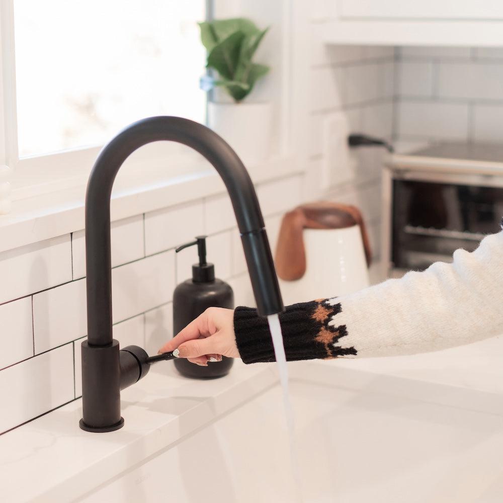 ZLINE Gemini Kitchen Faucet (GEM-KF) Matte Black