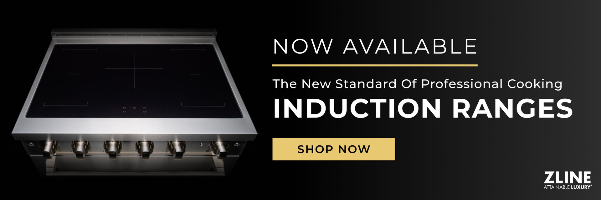 Induction cooktop on a dark background. Text: Now Available. The New Standard of Professional Cooking. Induction Ranges. Button: Shop Now.