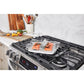 LG 6.3-Cu. Ft. Smart Wi-Fi Enabled ProBake Convection InstaView Gas Slide-in Range with Air Fry, Stainless Steel (LSGL6337F)