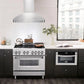 ZLINE Alpine Series Ducted Wall Mount Range Hood in Stainless Steel (ALP100WL) 