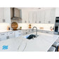 Proline Wall Mount Range Hood in Stainless Steel With Size Options (PLFW 520)