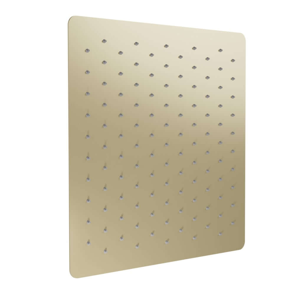 ZLINE 16 in. Bliss Shower Head in Champagne Bronze (BLS-H16-CB)