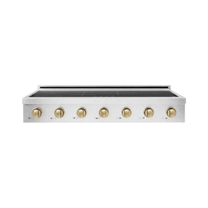 ZLINE Autograph Edition 48 in. Paramount Induction Rangetop with 7 Element Cooktop in Satin Stainless Steel and Champagne Bronze Accents (SINRTSZ-48-CB)
