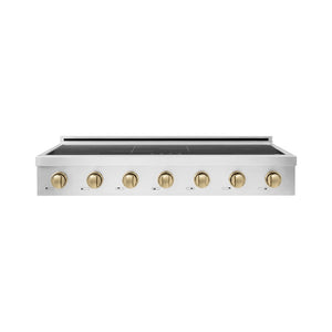 ZLINE Autograph Edition 48 in. Paramount Induction Rangetop with 7 Element Cooktop in Stainless Steel and Champagne Bronze Accents (SINRTZ-48-CB)