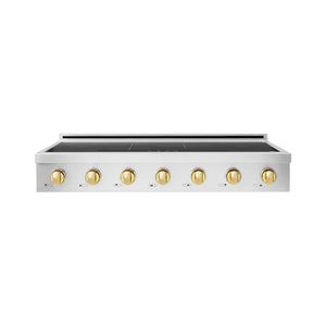 ZLINE Autograph Edition 48 in. Paramount Induction Rangetop with 7 Element Cooktop in Stainless Steel and Polished Gold Accents (SINRTZ-48-G)