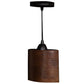 Premier Copper 8 in. Hammered Copper Oval Cylinder Pendant Light
