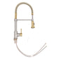 ZLINE Autograph Edition Apollo Pull Down Spring Single Handle Kitchen Faucet in Brushed Nickel and Champagne Bronze (APL-KF-ZBNCB)