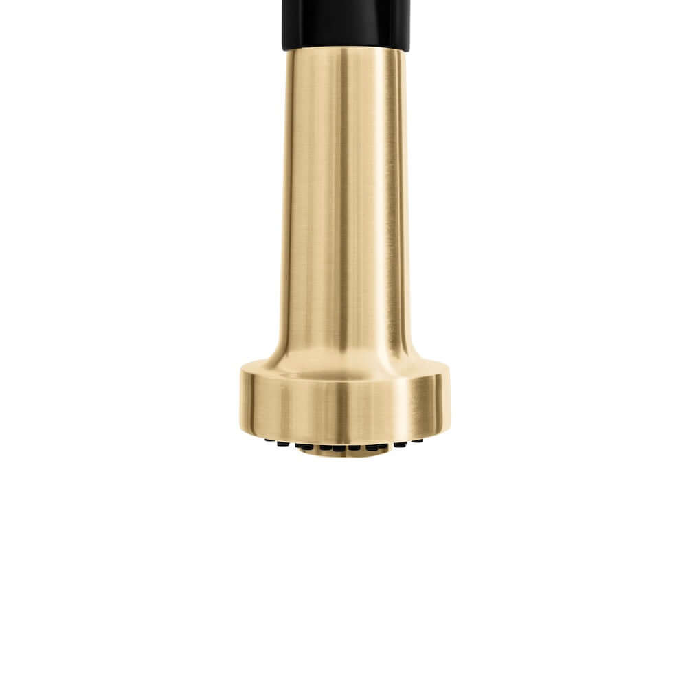 ZLINE Autograph Edition Apollo Pull Down Spring Single Handle Kitchen Faucet in Matte Black and Champagne Bronze (APL-KF-ZMBCB)