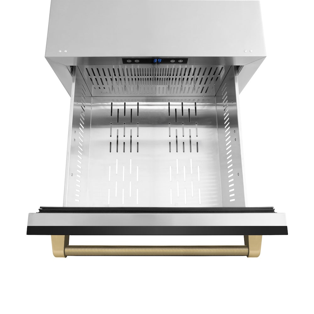 ZLINE Autograph Edition 24 in. Touchstone 168 Can Outdoor-Rated Dual Refrigerator Drawer with Black Stainless Steel Doors and Champagne Bronze Helix Handles (RDSOZ-BS-24-KCB)