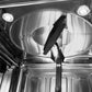 Top spray arm and two LED lights inside ZLINE Monument dishwasher.