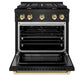 ZLINE Autograph Edition 30 in. 4.2 cu. ft. Paramount Gas Range with 4 Burner Cooktop and Convection Gas Oven in Black Stainless Steel and Polished Gold Accents (SGRBZ-30-G) front, oven open.