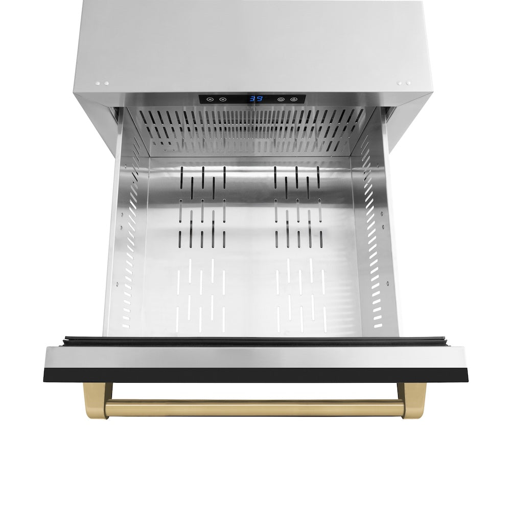 ZLINE Autograph Edition 24 in. Touchstone 168 Can Outdoor-Rated Dual Refrigerator Drawer with Black Matte Doors and Champagne Bronze Handles (RDSOZ-BLM-24-CB)