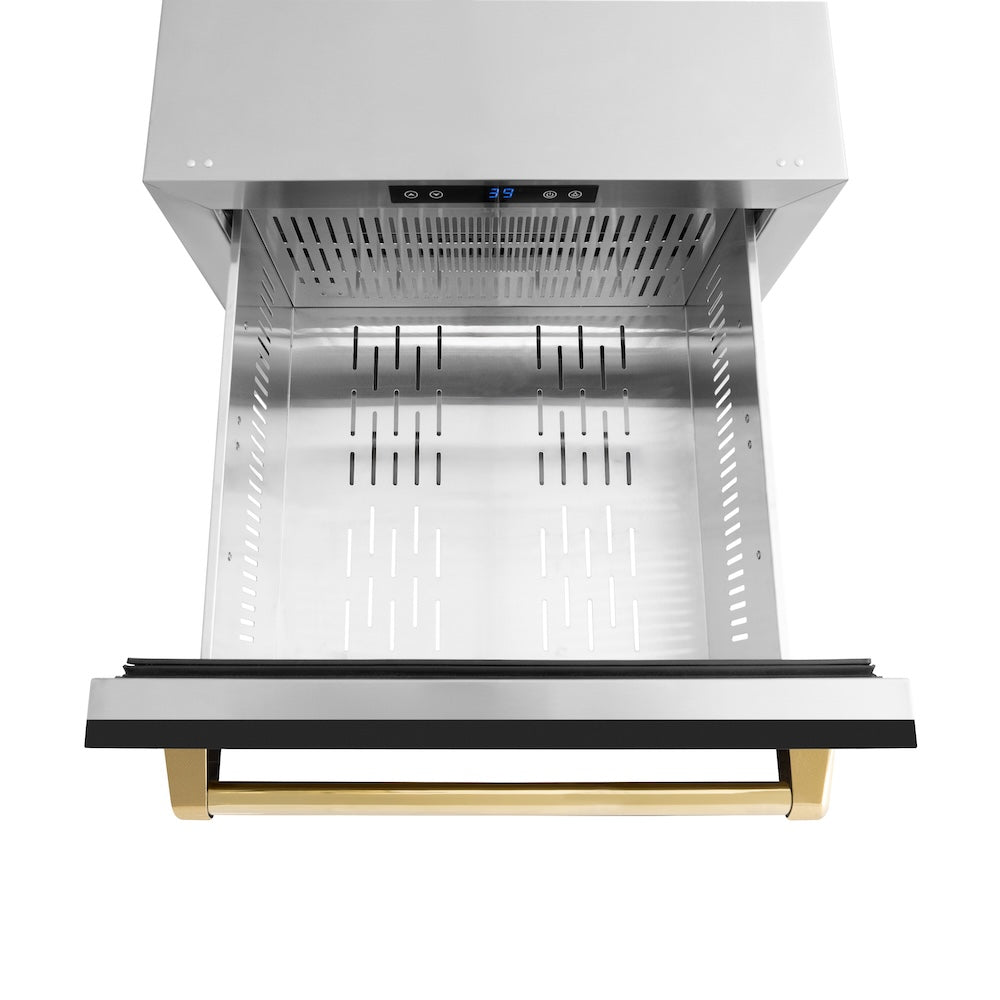 ZLINE Autograph Edition 24 in. Touchstone 168 Can Outdoor-Rated Dual Refrigerator Drawer with Black Matte Doors and Polished Gold Handles (RDSOZ-BLM-24-G)