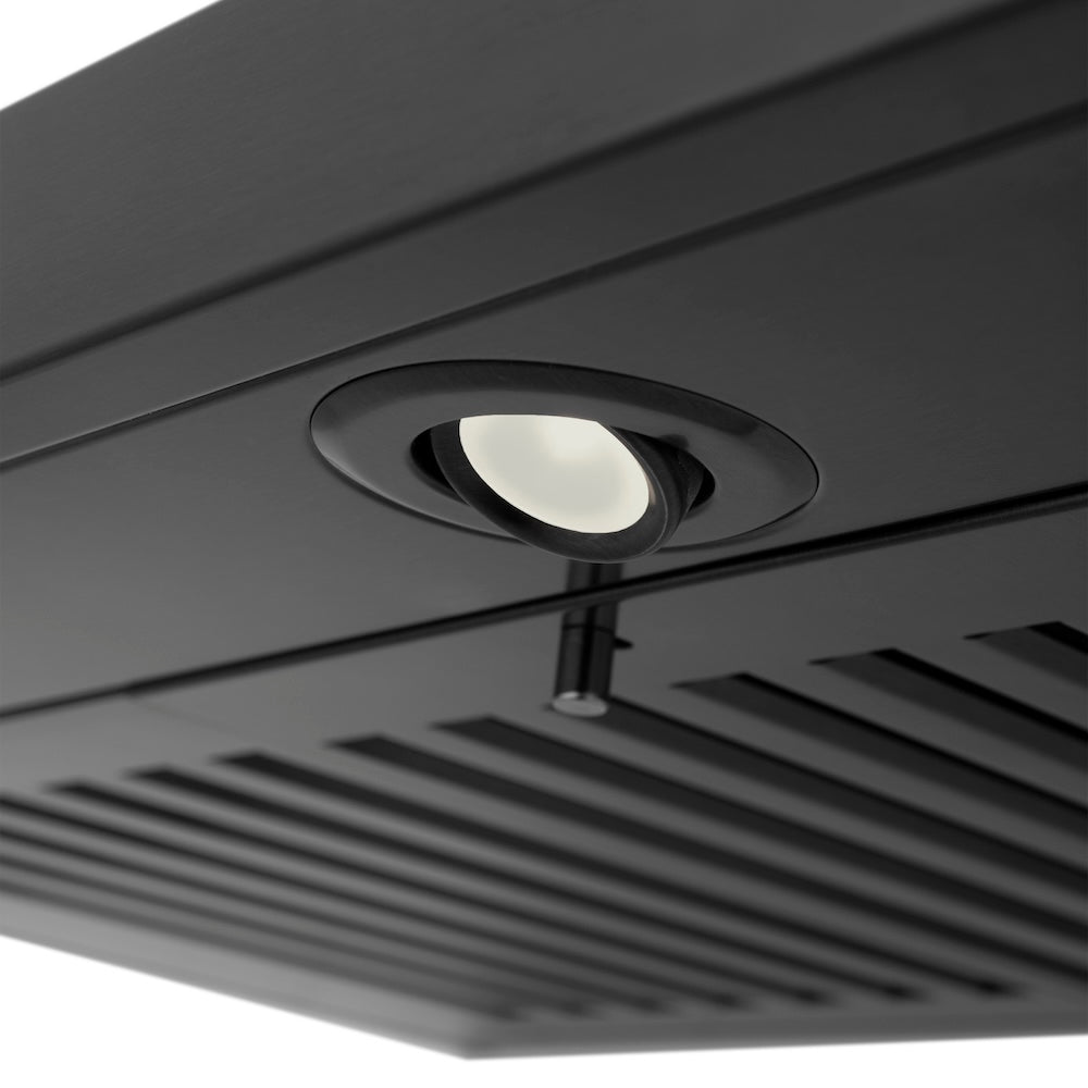 ZLINE Kitchen Package with 30 in. Black Stainless Steel Rangetop and 30 in. Convertible Range Hood (2KP-RTBRH30)