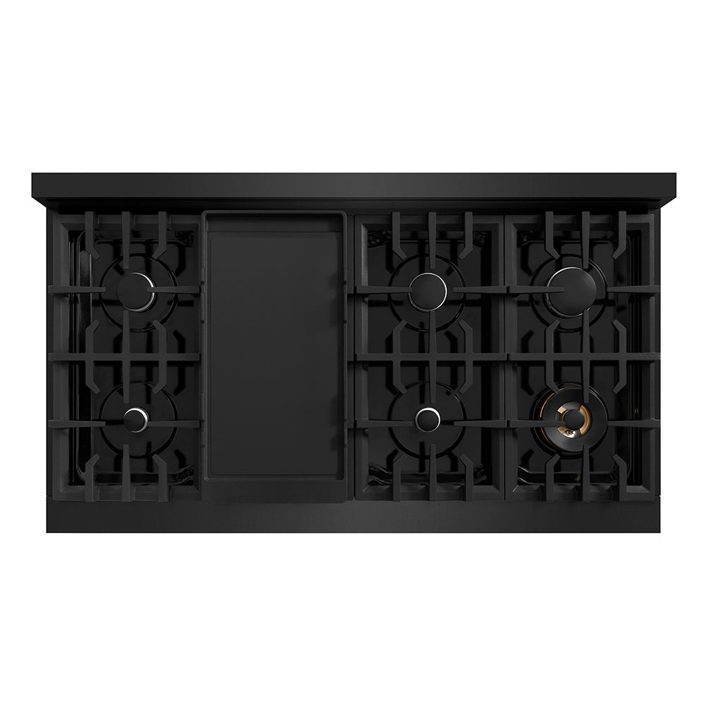 ZLINE 48 in. Classic Gas Rangetop with 8 Burners and Porcelain Cooktop in Black Stainless Steel (RTB2-48) top-down, above cooking surface.