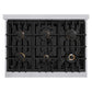 ZLINE 36 in. 5.2 cu. ft. Classic Gas Range with Convection Gas Oven in Stainless Steel with 6 Brass Burners (CGR-BR-36) top-down, above cooktop.