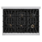 ZLINE 36 in. Classic Gas Rangetop with 6 Brass Burners and Porcelain Cooktop in Stainless Steel with Griddle (RT-BR-GR-36) top-down, above cooking surface.