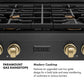 ZLINE Autograph Edition 30 in. Paramount Gas Rangetop with 4 Burners and Porcelain Cooktop in Black Satin Stainless Steel with Champagne Bronze Accents, Open Box-Great Condition