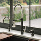 ZLINE Autograph Edition Single-Handle Drink Faucet in Matte Black and Brushed Nickel (FBV-ZMBBN)