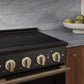 ZLINE Autograph Edition 24 in. 3.2 cu. ft. Marino Induction Range with 3 Element Cooktop and Electric Convection Oven in Black Stainless Steel with Champagne Bronze Accents (MINRBZ-24-CB)