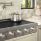 ZLINE 36 in. Paramount Induction Rangetop with 5 Element Cooktop in Stainless Steel (SINRT36)