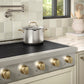 ZLINE Autograph Edition 36 in. Paramount Induction Rangetop with 5 Element Cooktop in Satin Stainless Steel and Champagne Bronze Accents (SINRTSZ-36-CB)