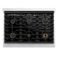 ZLINE Autograph Edition 36 in. Paramount Gas Rangetop with 6 Burners and Porcelain Cooktop in Satin Stainless Steel with Champagne Bronze Accents (SRTSZ-36-CB) top-down, above cooktop.