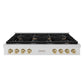 ZLINE Autograph Edition 48 in. Paramount Gas Rangetop with 8 Burners and Porcelain Cooktop in Satin Stainless Steel with Champagne Bronze Accents (SRTSZ-48-CB)