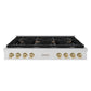 ZLINE 48 in. Autograph Edition Paramount Gas Rangetop with 8 Burners and Porcelain Cooktop in Satin Stainless Steel with Champagne Bronze Accents, Open Box-Great Condition