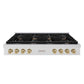 ZLINE 48 in. Autograph Edition Paramount Gas Rangetop with 8 Burners and Porcelain Cooktop in Satin Stainless Steel with Champagne Bronze Accents, Open Box-Good Condition