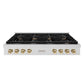 ZLINE Autograph Edition 48 in. Paramount Gas Rangetop with 8 Burners and Porcelain Cooktop in Satin Stainless Steel with Polished Gold Accents (SRTSZ-48-G)
