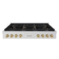 ZLINE 48 in. Autograph Edition Paramount Gas Rangetop with 8 Burners and Porcelain Cooktop in Stainless Steel with Champagne Bronze Accents (SRTZ-48-CB) front.