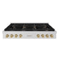 ZLINE 48 in. Autograph Edition Paramount Gas Rangetop with 8 Burners and Porcelain Cooktop in Stainless Steel with Champagne Bronze Accents, Open Box-Great Condition