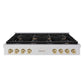 ZLINE 48 in. Autograph Edition Paramount Gas Rangetop with 8 Burners and Porcelain Cooktop in Stainless Steel with Champagne Bronze Accents, Open Box-Good Condition