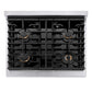 ZLINE 30 in. Autograph Edition Paramount Gas Rangetop with 4 Burners and Porcelain Cooktop in Stainless Steel with Polished Gold Accents (SRTZ-30-G) top-down, above cooktop.