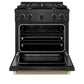 ZLINE Designer Collection 30 in. 4.2 cu. ft. Paramount Dual Fuel Range with 4 Burner Gas Cooktop and Electric Convection Oven in Black Satin Stainless Steel with Matte Black and Champagne Bronze Accents, Open Box-Good Condition