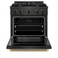 ZLINE Designer Collection 30 in. 4.2 cu. ft. Paramount Dual Fuel Range with 4 Burner Gas Cooktop and Electric Convection Oven in Black Satin Stainless Steel with Matte Black and Champagne Bronze Accents, Open Box-Great Condition