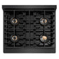ZLINE 30 in. 4.2 cu. ft. Paramount Dual Fuel Range with 4 Burner DuoPro™ Cooktop and Electric Convection Oven in Black Satin Stainless Steel, Open Box-Good Condition