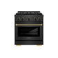 ZLINE Designer Collection 30 in. 4.2 cu. ft. Paramount Dual Fuel Range with 4 Burner DuoPro™ Cooktop and Electric Convection Oven in Black Satin Stainless Steel with Matte Black and Champagne Bronze Accents, Open Box-Good Condition